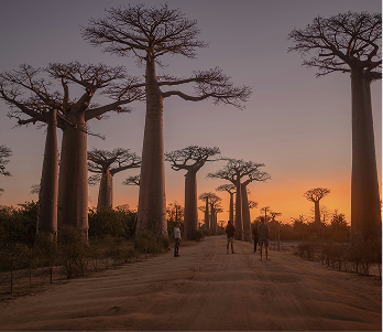 Die einzigartigsten Reiseziele - HoneymoonLocations Lagoon Travel
