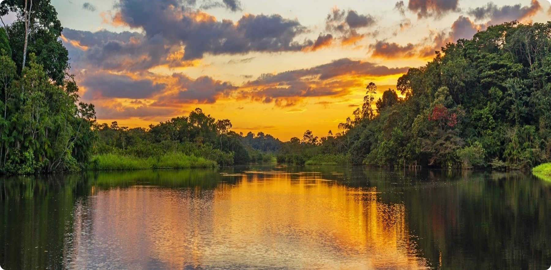 Kreuzfahrt in die unberührte Natur - Lagoon Travel