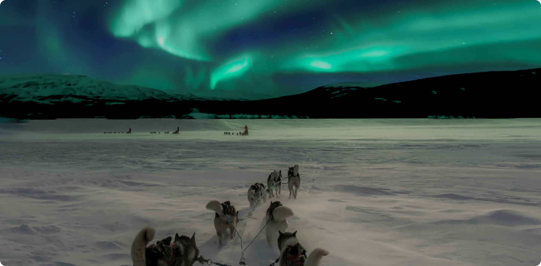 Polarlichter im Norden erleben - Lagoon Travel